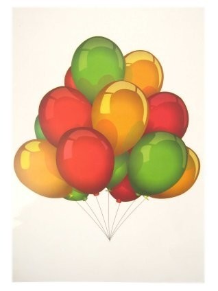 55528 raamsticker tros ballonnen 35x50 cm 599