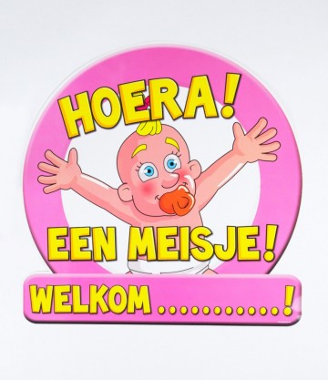 7005019 huldeschild geboorte meisje 395