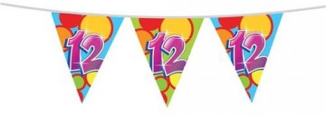 Vlaggenlijn 12 405546 10m 225