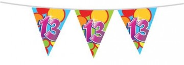 Vlaggenlijn 13 405547 10m 225