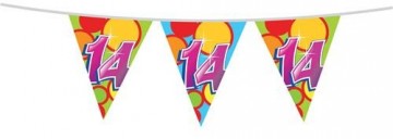 Vlaggenlijn 14 405548 10m 225