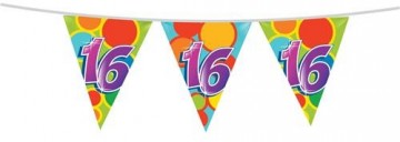 Vlaggenlijn 16 405522 10m 225