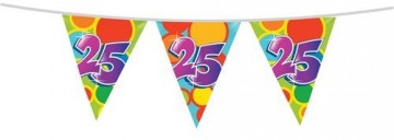 Vlaggenlijn 25 405514 10m 225