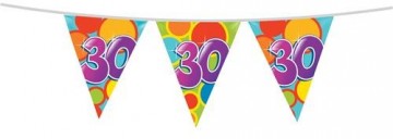 Vlaggenlijn 30 405515 10m 225