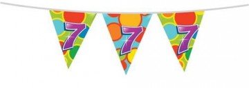 Vlaggenlijn 7 405507 10m 225