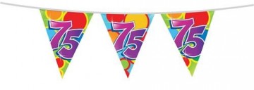 Vlaggenlijn 75 405521 10m 225