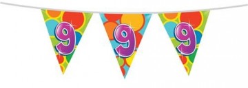 Vlaggenlijn 9 405509 10m 225